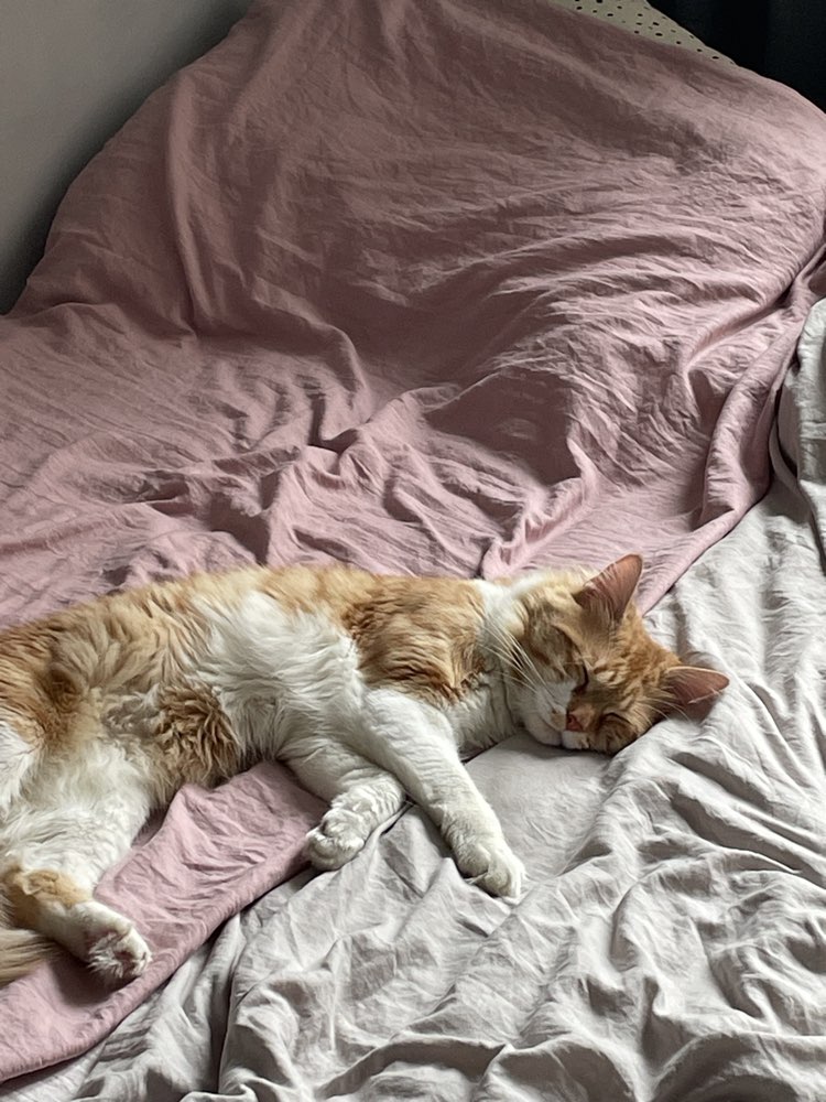 Photo of Sheldon