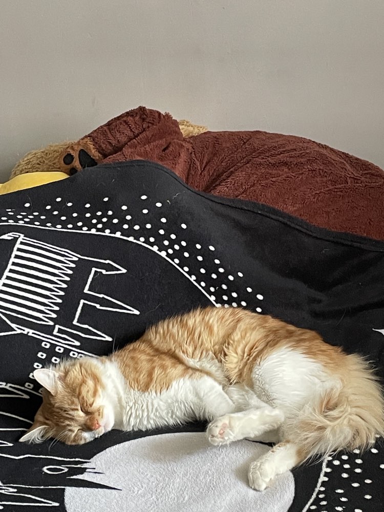 Photo of Sheldon