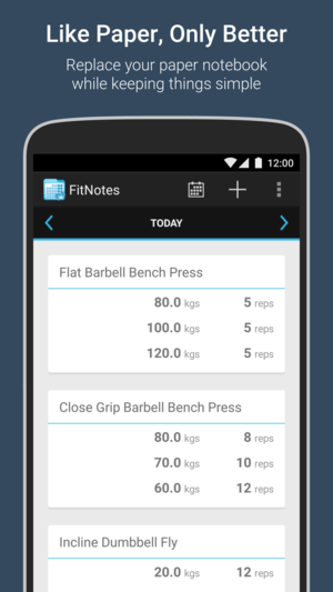 FitNotes App Interface